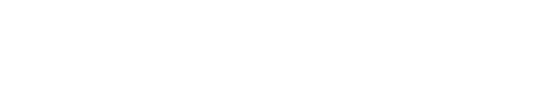4.0 Digital Partner